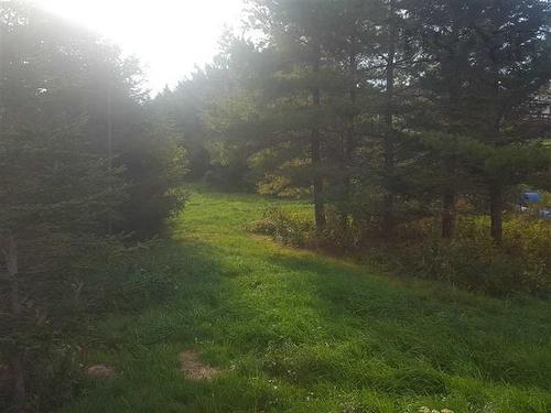 Back Bay Road, Terence Bay, NS 