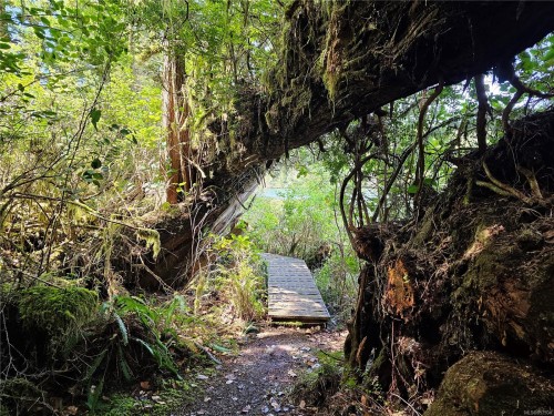 522 Burlo Island, Bamfield, BC 