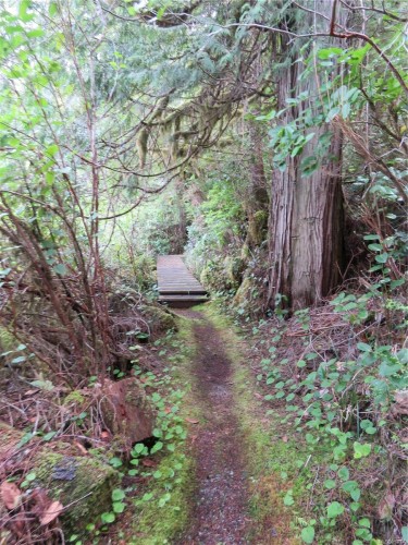 522 Burlo Island, Bamfield, BC 