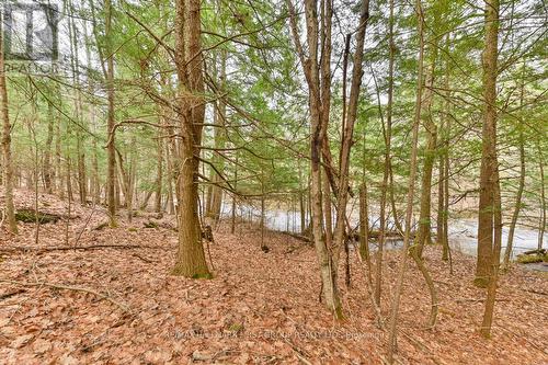 386 Queensborough Road, Tweed, ON - Outdoor With View