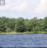 N/A Sandy Lake Road, Havelock-Belmont-Methuen, ON 