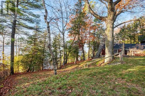 6812 Shearer Pt Road, Alnwick/Haldimand, ON - Outdoor With View