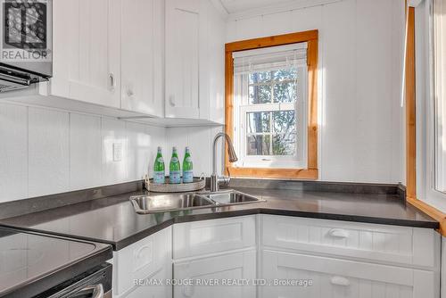 6812 Shearer Pt Rd, Alnwick/Haldimand, ON - Indoor Photo Showing Kitchen With Double Sink