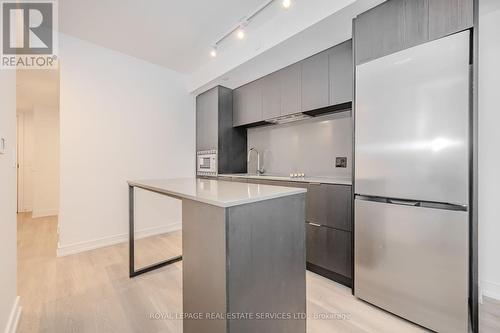 522 - 1 Jarvis Street, Hamilton, ON - Indoor Photo Showing Kitchen With Upgraded Kitchen