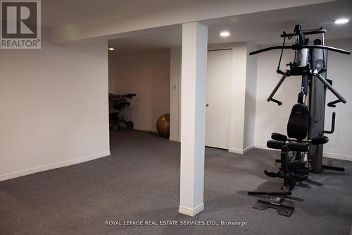 38 Citation Dr, Toronto, ON - Indoor Photo Showing Gym Room