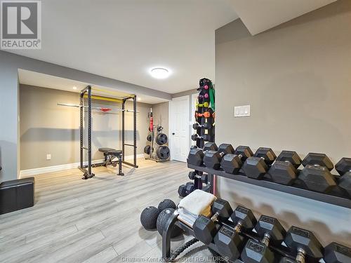 16 Towerline Street, Delaware Town, ON - Indoor Photo Showing Gym Room