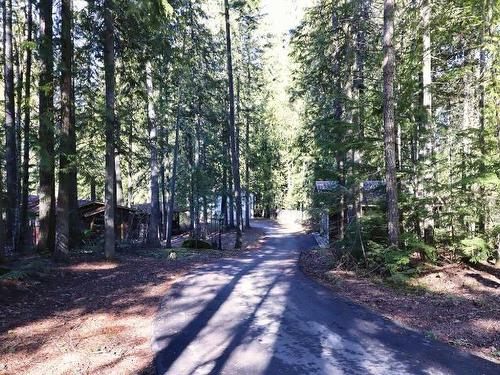 5615 Eagle Bay Road, South Shuswap, BC - Outdoor With View