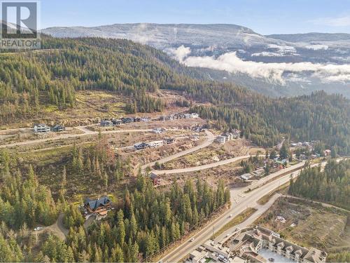 226 Sunset Drive, Sicamous, BC - Outdoor With View