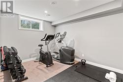 Lower Level bedroom or gym - 