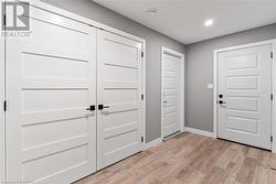 Lower Level Storage and closet space - 