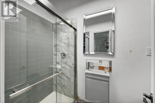 810 Assumption, Windsor, ON - Indoor Photo Showing Bathroom