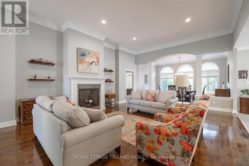 23 - 2014 Valleyrun Boulevard, London, ON - Indoor Photo Showing Living Room With Fireplace