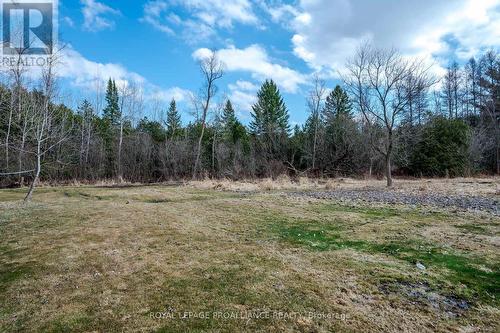 2317 Old Norwood Rd, Otonabee-South Monaghan, ON - Outdoor With View