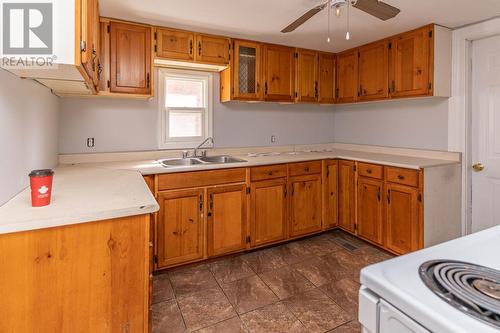 521 Douglas St, Sault Ste Marie, ON - Indoor Photo Showing Kitchen With Double Sink