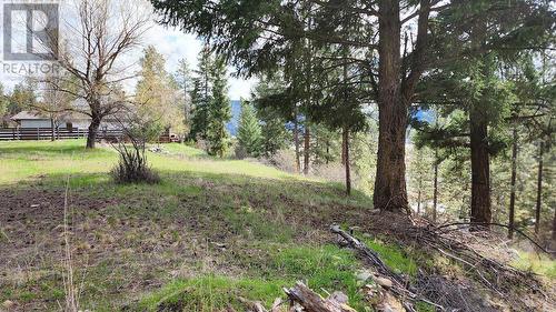 306 Jacobson Road, Princeton, BC 