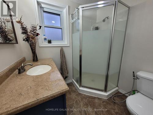 49 Seventh Avenue, Brantford, ON - Indoor Photo Showing Bathroom