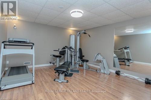 852 Richmond St, Thames Centre, ON - Indoor Photo Showing Gym Room