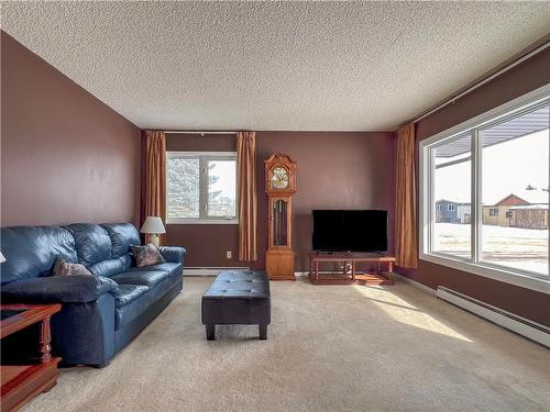 295 Queen Street E, Virden, MB - Indoor Photo Showing Living Room
