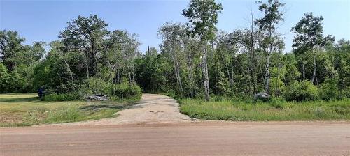 29106 34N Road, Mitchell, MB 