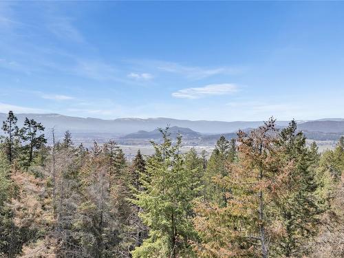 6895 Farmers Drive, Kelowna, BC - Outdoor With View