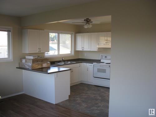 14101/14105 118 Av Nw Nw, Edmonton, AB - Indoor Photo Showing Kitchen With Double Sink