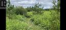 Lot 20 8Th Line, Amaranth, ON 