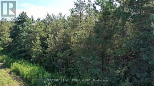 Lot 20 8Th Line, Amaranth, ON 