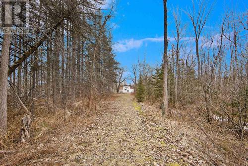 21434 On-48, East Gwillimbury, ON - Outdoor With View