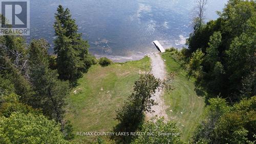 194 Mcguire Beach Road, Kawartha Lakes, ON - Outdoor With Body Of Water With View