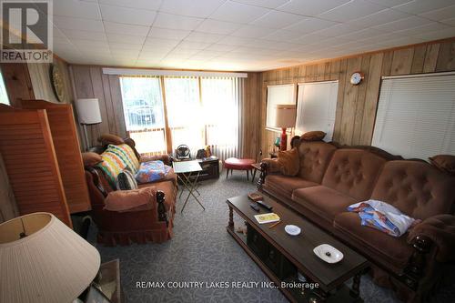 194 Mcguire Beach Road, Kawartha Lakes, ON - Indoor Photo Showing Living Room