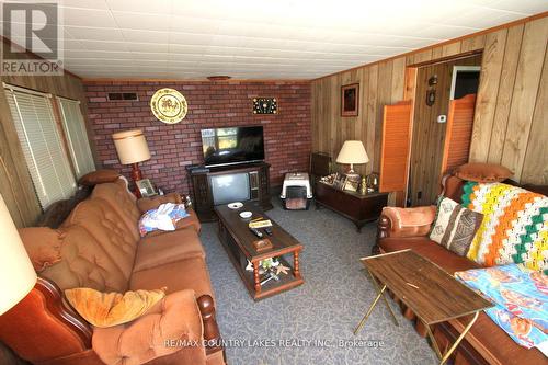 194 Mcguire Beach Road, Kawartha Lakes, ON - Indoor Photo Showing Living Room With Fireplace