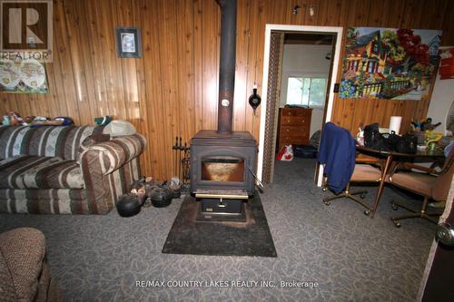 194 Mcguire Beach Road, Kawartha Lakes, ON - Indoor With Fireplace