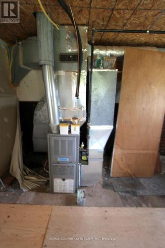 194 Mcguire Beach Road, Kawartha Lakes, ON - Indoor Photo Showing Basement