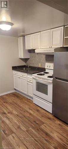 509 Highbury Ave, London, ON - Indoor Photo Showing Kitchen With Double Sink