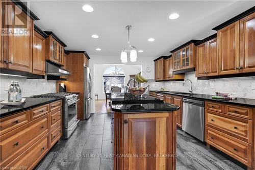 19 Sydenham Dr, London, ON - Indoor Photo Showing Kitchen With Stainless Steel Kitchen With Upgraded Kitchen