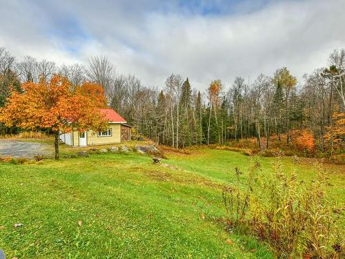 Backyard - 3419 Route Principale, Wentworth-Nord, QC - Outdoor