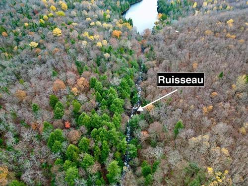 Overall view - 3419 Route Principale, Wentworth-Nord, QC - Outdoor