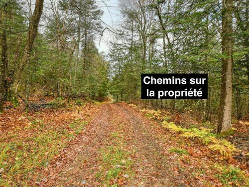 Land/Lot - 3419 Route Principale, Wentworth-Nord, QC - Outdoor