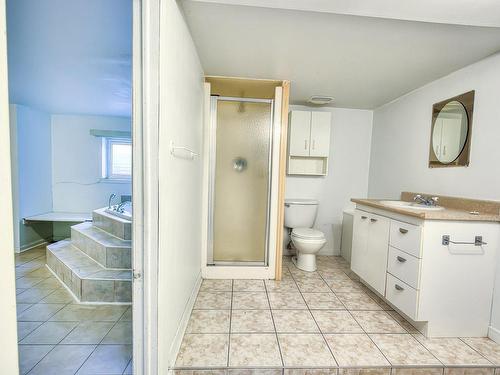 Logement - 1147 42E Avenue, Laval (Fabreville), QC - Indoor Photo Showing Bathroom