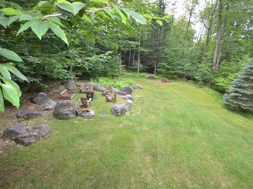 Backyard - 142 Ch. De L'Orée-Des-Lacs, Mont-Tremblant, QC - Outdoor