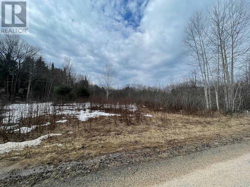 81 Old L'Amable Road, Bancroft, ON 