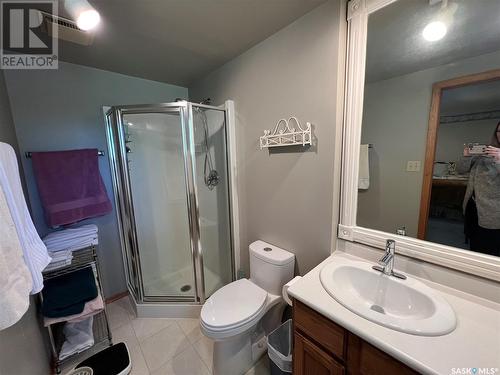 317 Prince Street, Imperial, SK - Indoor Photo Showing Bathroom