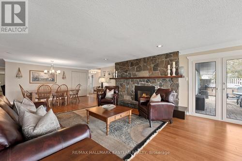 1201 Nuforest Drive, Smith-Ennismore-Lakefield, ON - Indoor Photo Showing Living Room With Fireplace