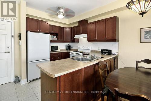 #204 -91 Raglan St, Collingwood, ON - Indoor Photo Showing Kitchen With Double Sink