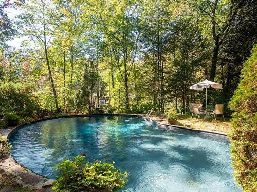 Piscine - 28 Rue Quarry Point, Hudson, QC - Outdoor With Body Of Water With Backyard