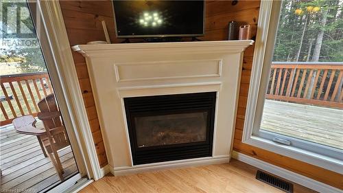 73 Larsen Cove Road, Northern Bruce Peninsula, ON - Indoor Photo Showing Living Room With Fireplace