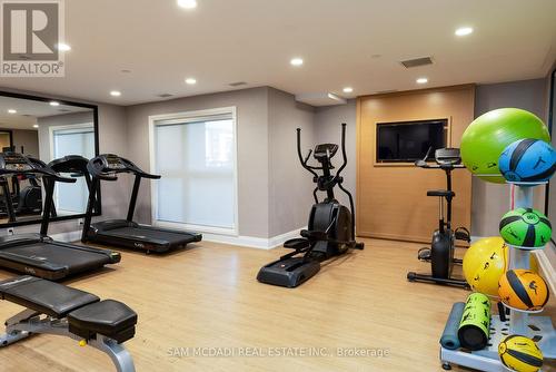 #119 -128 Grovewood Common, Oakville, ON - Indoor Photo Showing Gym Room