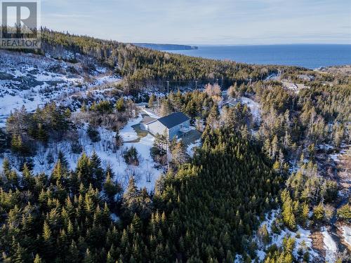 285 Beachy Cove Road, Portugal Cove-St. Philips, NL - Outdoor With View