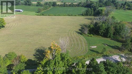 184 Palmer Road, Madoc, ON 