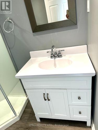 116 Rexway Drive, Halton Hills, ON - Indoor Photo Showing Bathroom